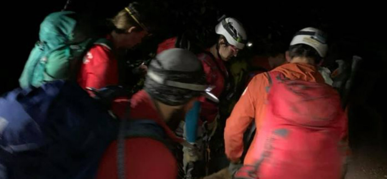 Ratownicy po prostu zdębiali na widok olbrzymiego psa, nigdy wcześniej nie widzieli czegoś takiego. Wszystko się nagrało