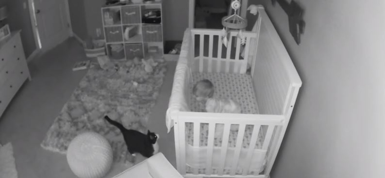 Mama zauważyła na kamerce kota, który stoi przed łóżkiem jej synka. Po chwili rozegrała się scena, po której nie mogła wytrzymać ze śmiechu