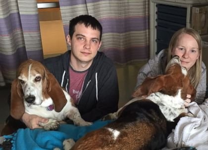 Psy czuły, że dziecko ich właścicieli umiera. Ich zachowanie zmiażdży najtwardsze serca