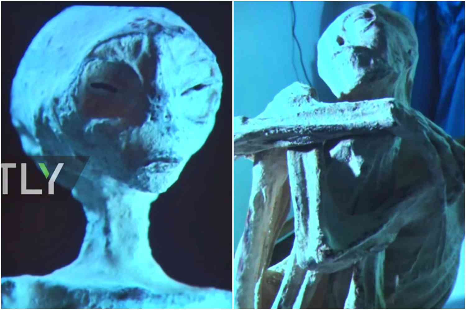 #TeoriaSpiskowa Badacze znaleźli dziwne mumie obcych. "Krzyżówki ludzi i kosmitów!" (VIDEO)