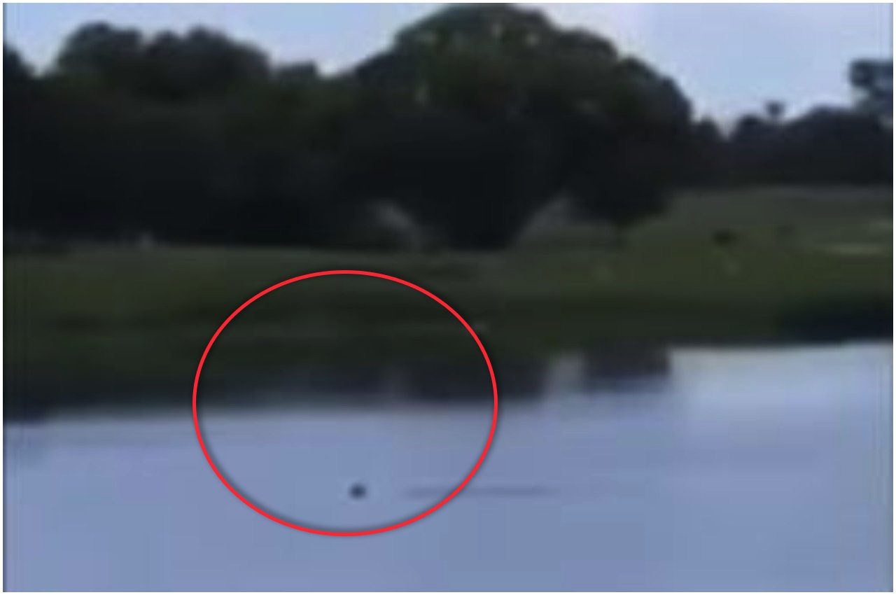 Nastolatki filmują tonącego niepełnosprawnego. "O, właśnie umarł" (VIDEO)