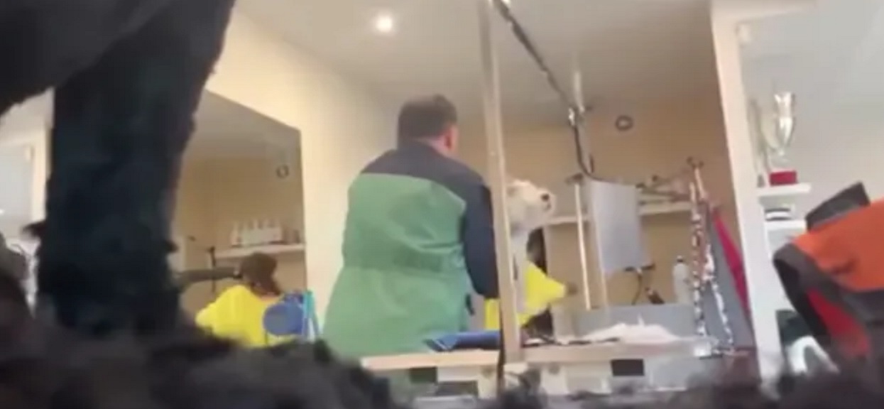 Psi fryzjer znęcał się nad zwierzętami. Wszystko nagrano ukrytą kamerą