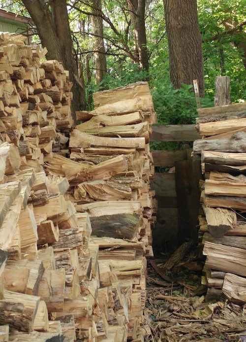 Nikomu nie udaje się znaleźć kota na obrazku w mniej niż 10 sekund. Niemożliwe