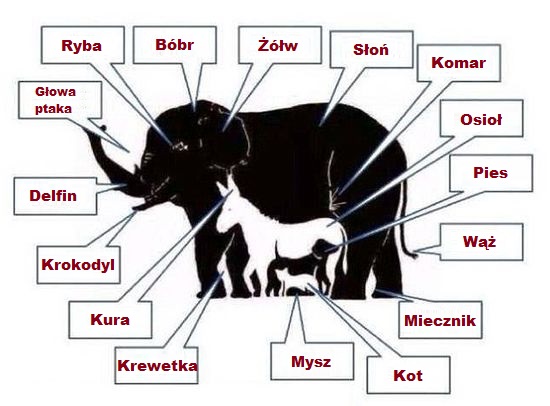 Ciężkie chwile Roksany Węgiel. Doniesienia niepokoją fanów przed Sylwestrem