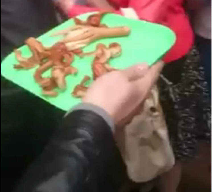 Wipler wszedł w tłum działaczy PO i rozdawał ośmiorniczki (video)