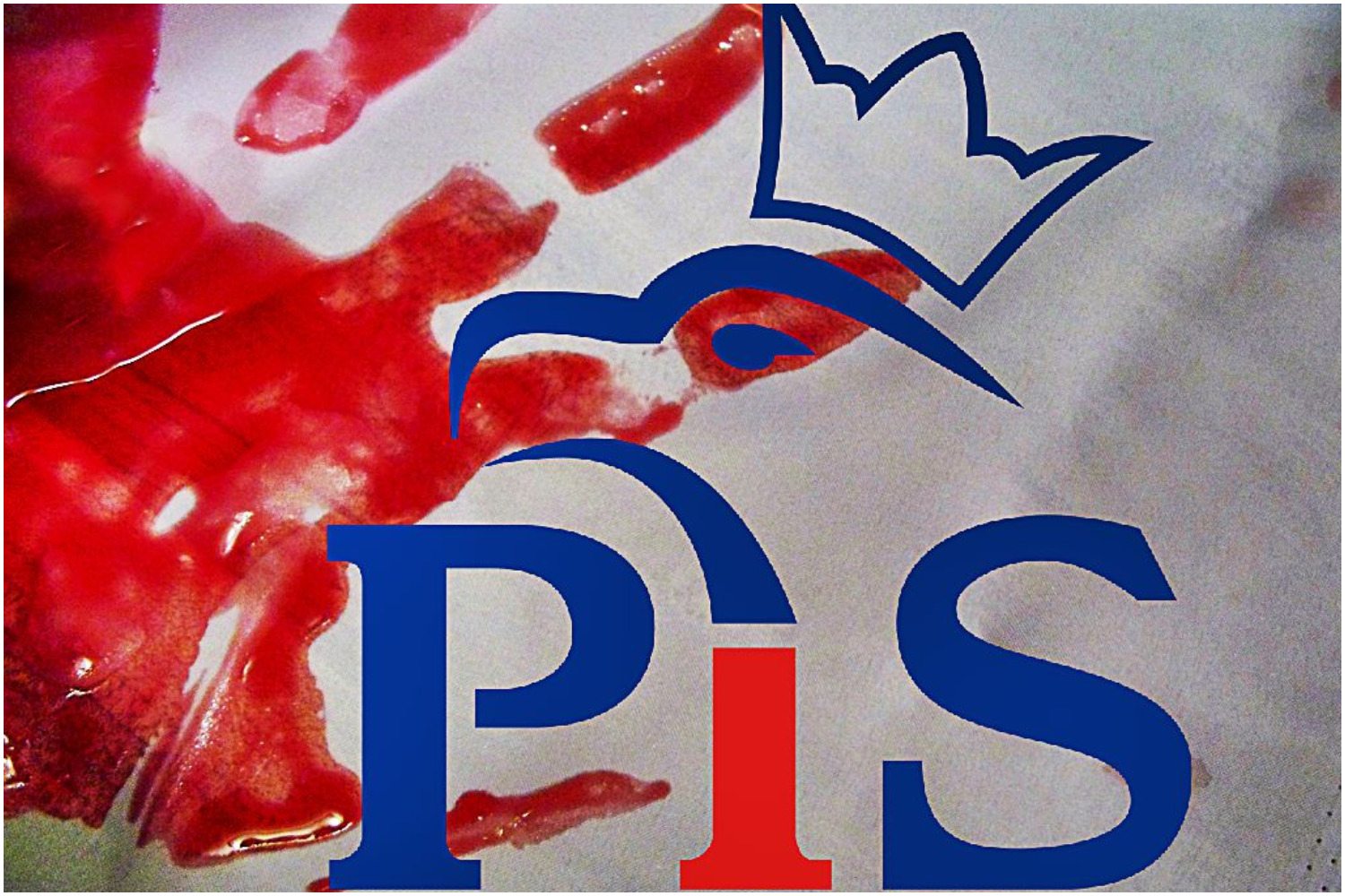 To brutalne zabójstwo tak wstrząsnęło PiS-em, że zmienią prawo