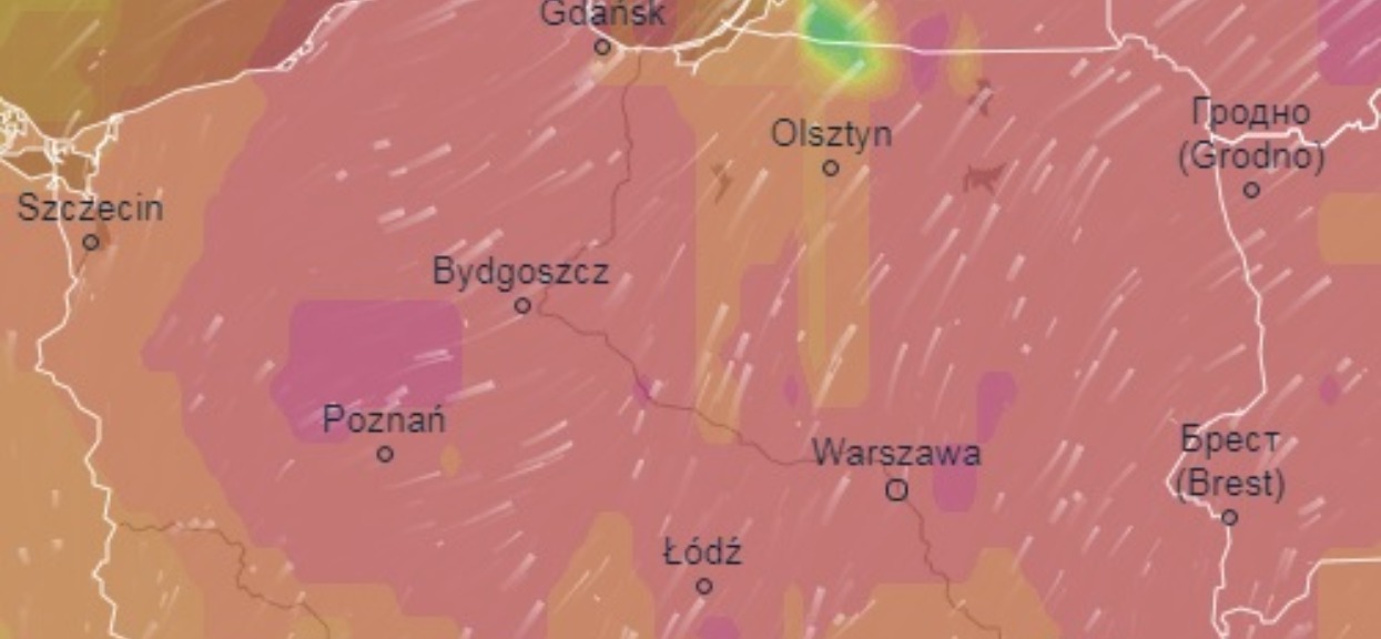Gwiazdor disco polo, ulubieniec widzów TVP, przekazał radosną nowinę. Jego rodzina się powiększyła, gratulujemy