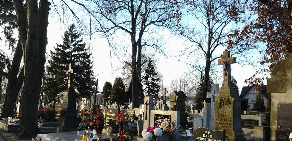 Syn pani Barbary zginął w tragicznych okolicznościach. Teraz kazali jej rozebrać jego grób, powód nie mieści się w głowie