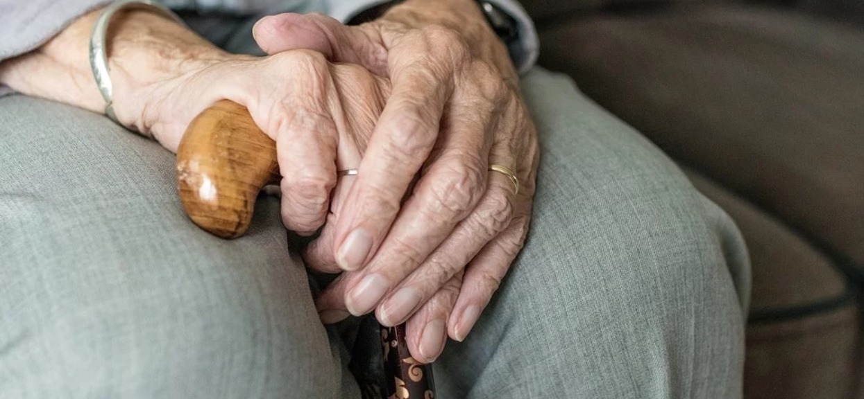 Pies patrzy Ci prosto w oczy? Wysyła bardzo ważne sygnały, każdy właściciel powinien o nich wiedzieć