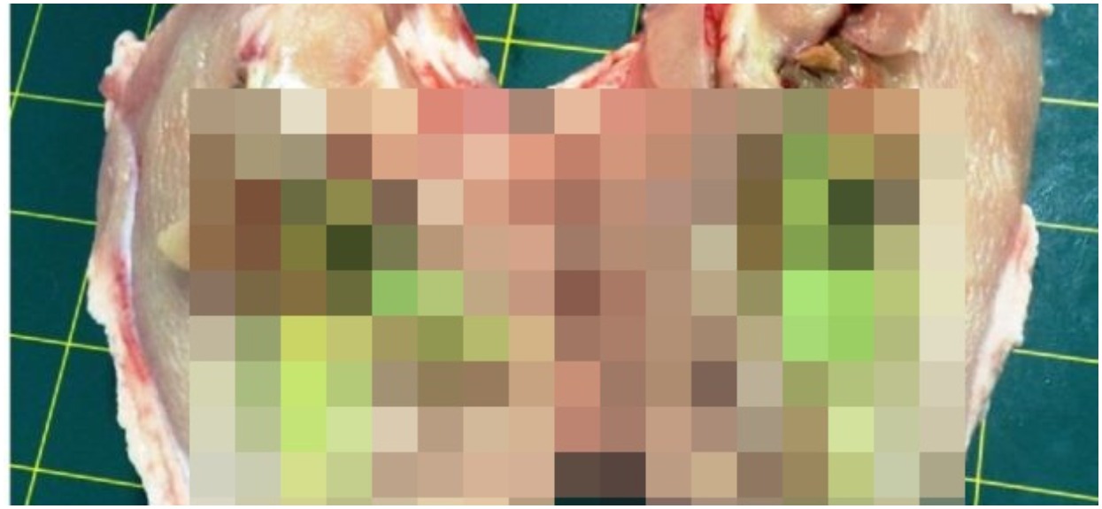 Kupił w Polsce mięso z zarażonego kurczaka, wygląda ohydnie. Zdjęcia tylko dla osób o mocnych nerwach
