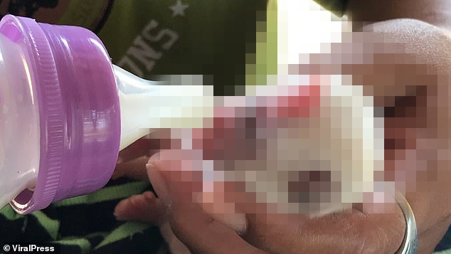 Wyglądał przerażająco. Mały szczeniaczek urodził się z ogromną wadą, potem wydarzyło się coś cudownego