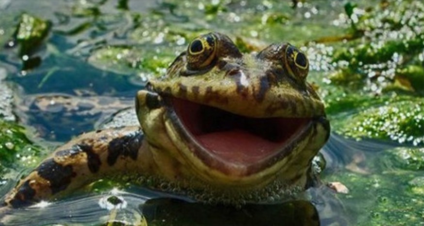 Kiedy orientujesz się, że dzisiaj jest już piątek