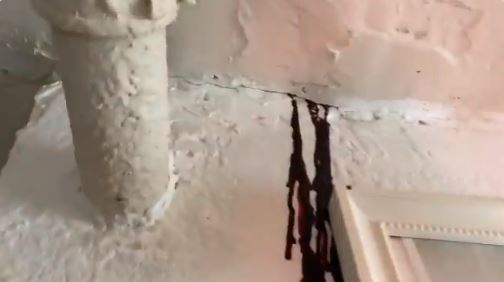 Poczuli brzydki zapach i zauważyli ciemną maź lejącą się po ścianach. Powód okazał się wstrząsający