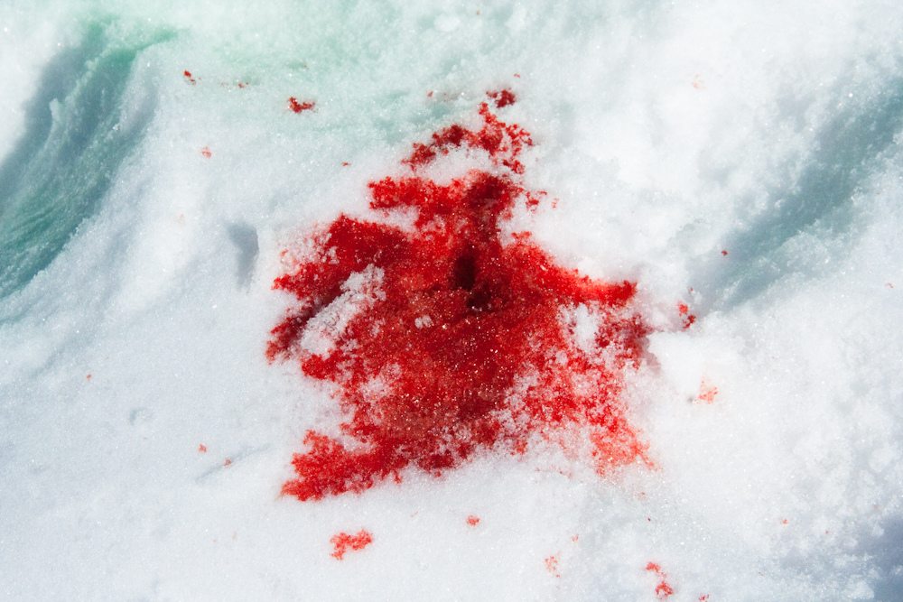 Horror na Bałtyku. Nie żyje polski żołnierz