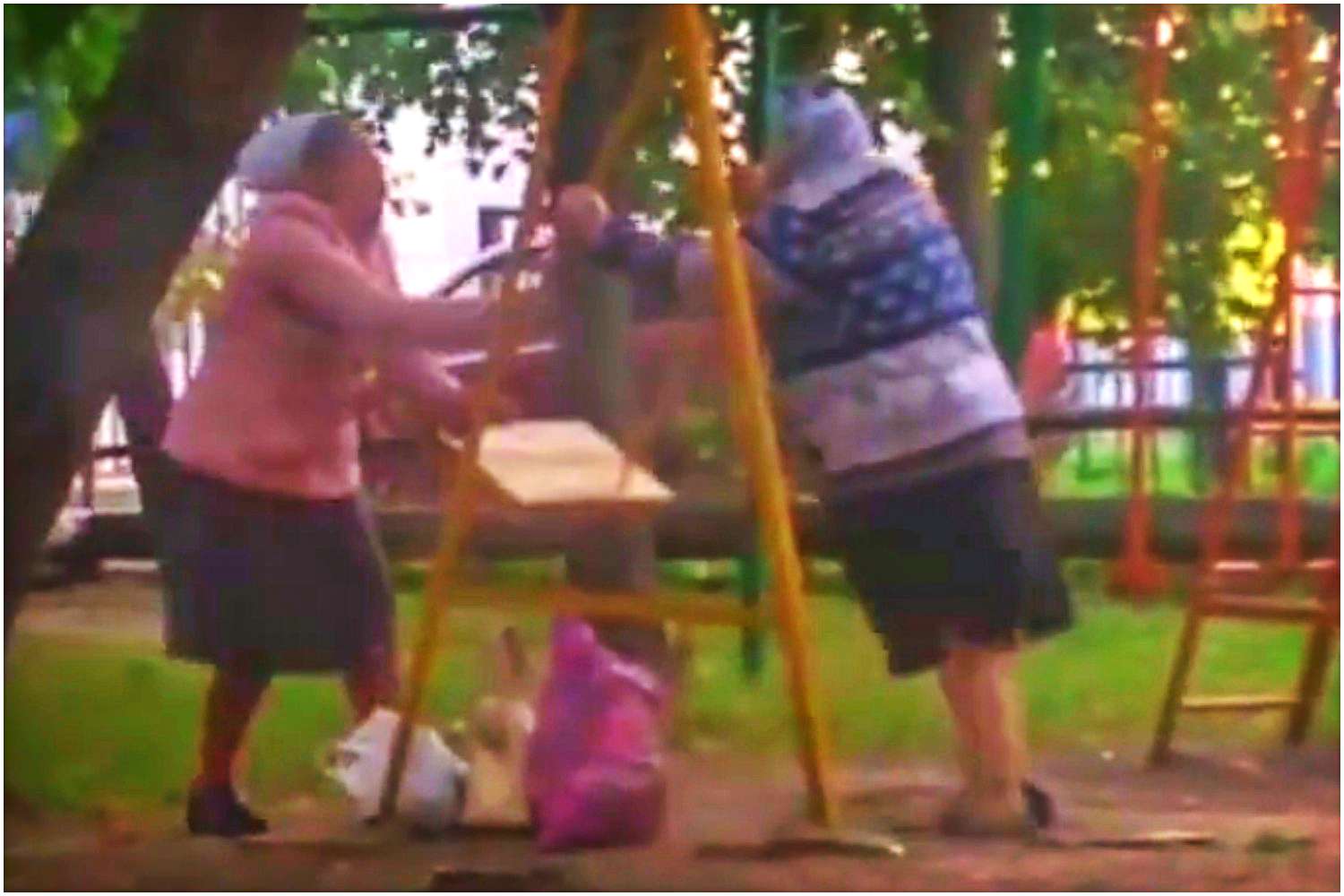 Granda na placu zabaw. Babcie pobiły się o huśtawkę (video)