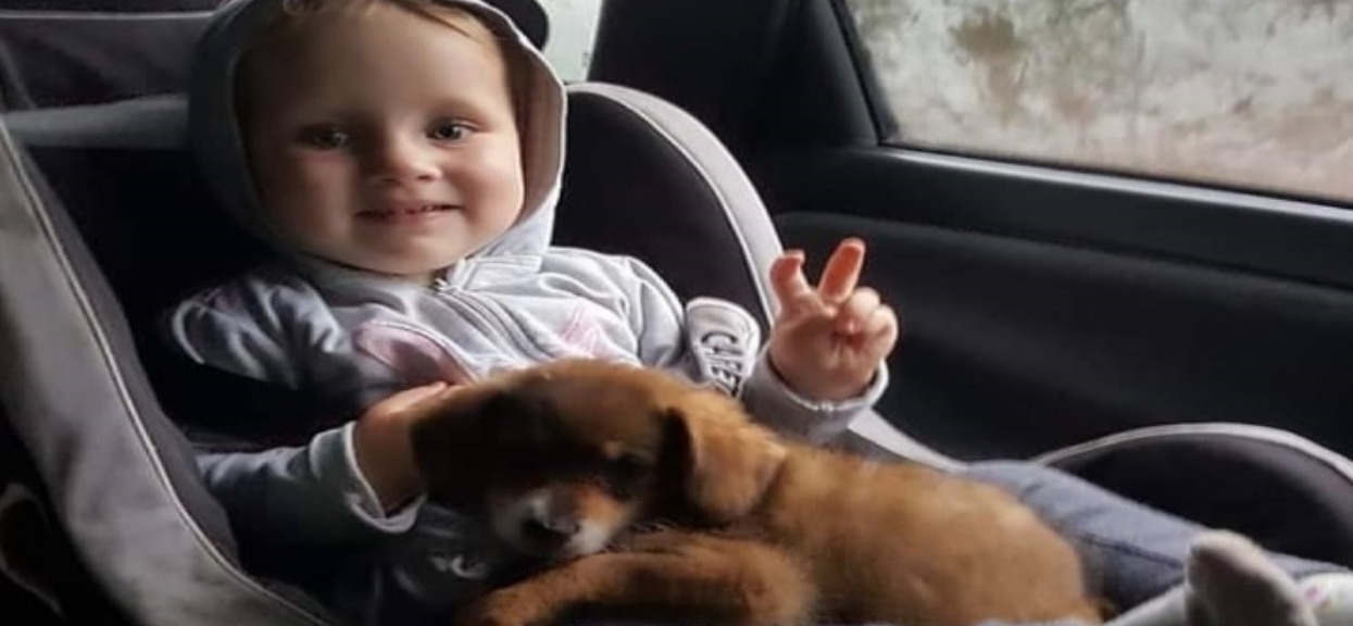 Młoda mama przeżyła najgorszą tragedię. Zrozpaczona rodzina błaga o pomoc