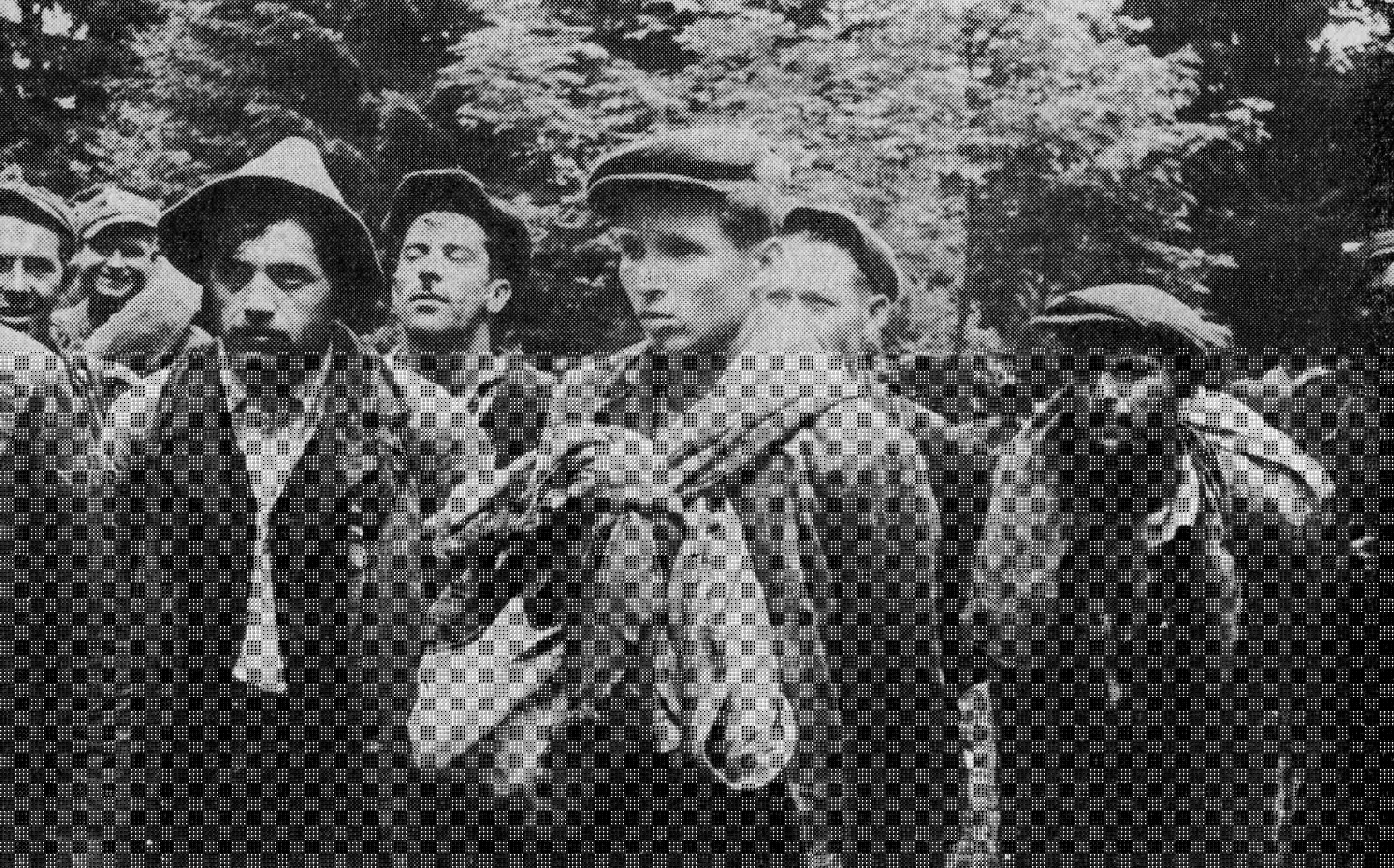 UPA i Bandera bohaterami w edukacji ukraińskiej
