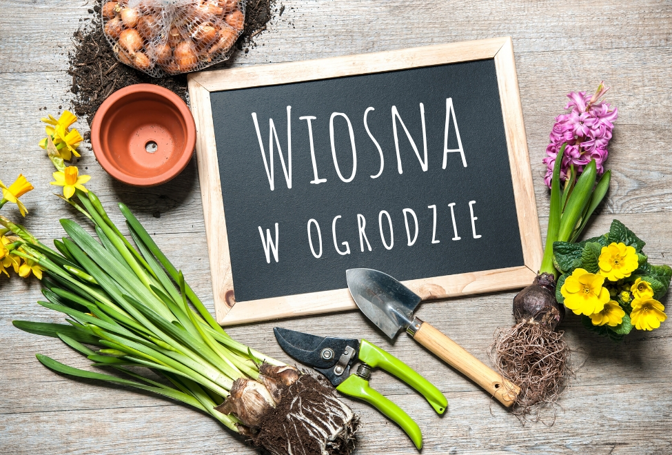 Wiosna w ogrodzie 2020. Utrzymujące się trendy i nowości