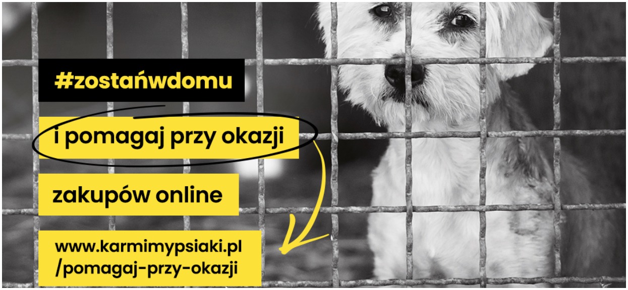 Gwiazdy zachęcają do pomagania podczas zakupów online