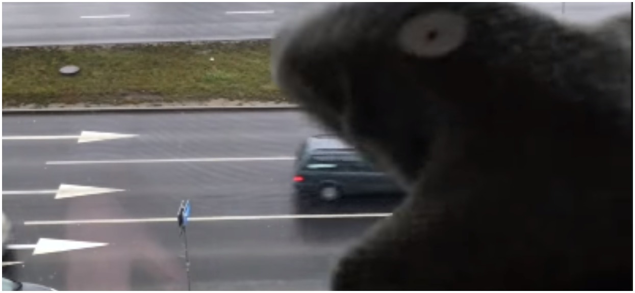 Wideo obejrzały już miliony osób. Skarpetka "zjada samochody", płaczemy ze śmiechu