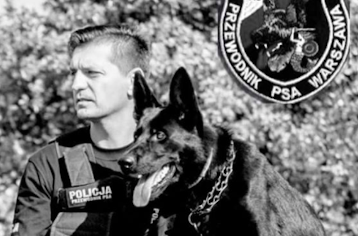 Smutek i żal. Nie żyje psi bohater, odszedł Rico