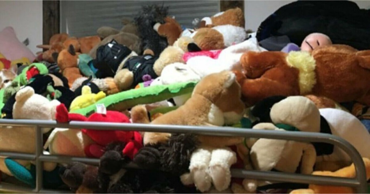 Wśród pluszaków ukrył się prawdziwy kot. Tylko 2 na 10 osób potrafią go znaleźć w mniej niż 15 sekund