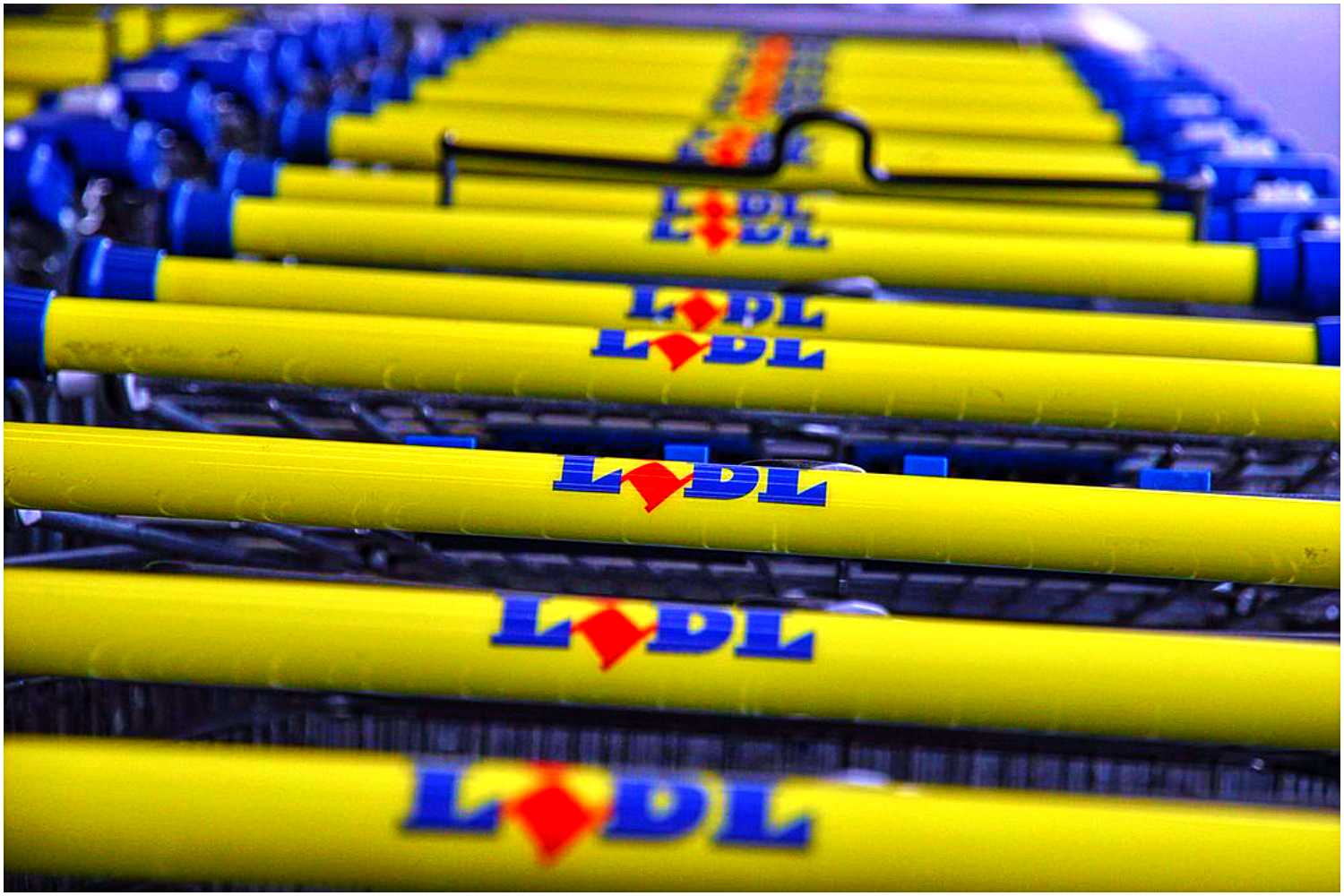 Polacy szturmują Lidla. Nikt nie wie, jak wymówić nazwę tego produktu