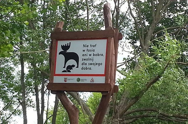 Afera łosiowa - o poczynaniach resortu środowiska