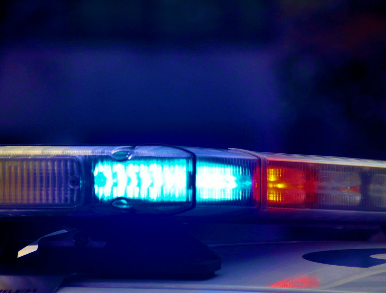 Polacy spałowani i pogryzieni przez szwedzką policję. "Przez przypadek"