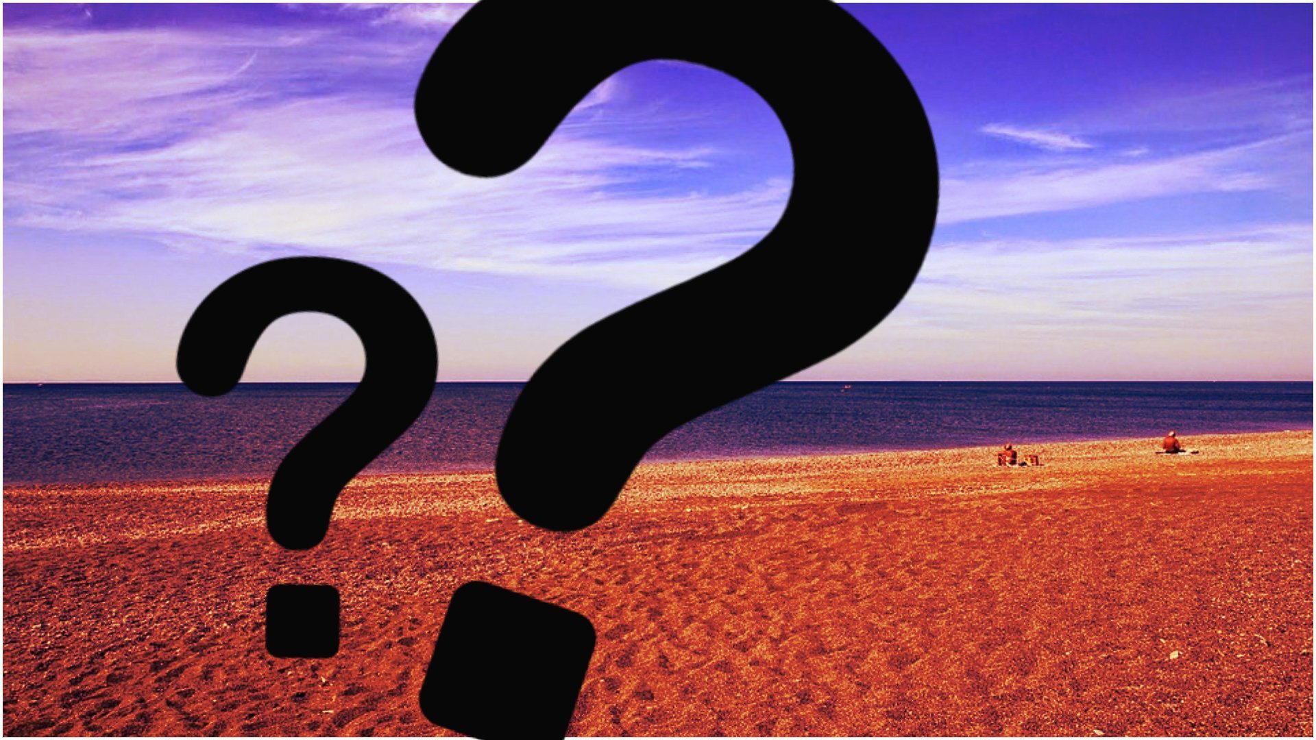 Prawdziwa BESTIA znaleziona na polskiej plaży. Skąd się tam wzięła?