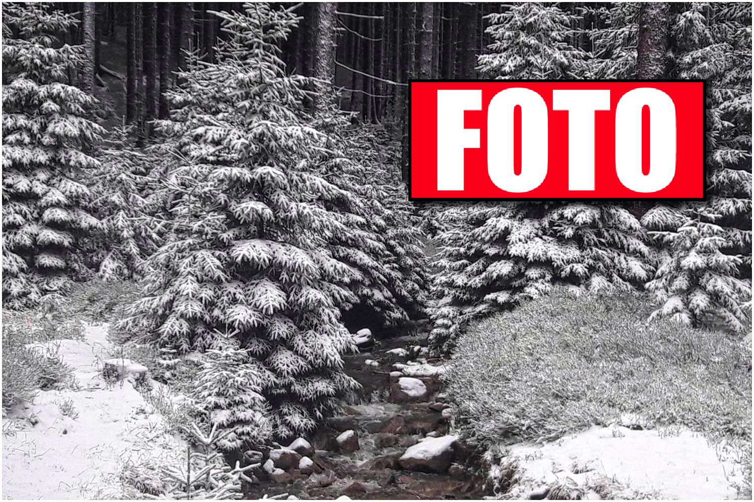 Zasypie nas biały puch! Te regiony Polski zobaczą DZISIAJ śnieg