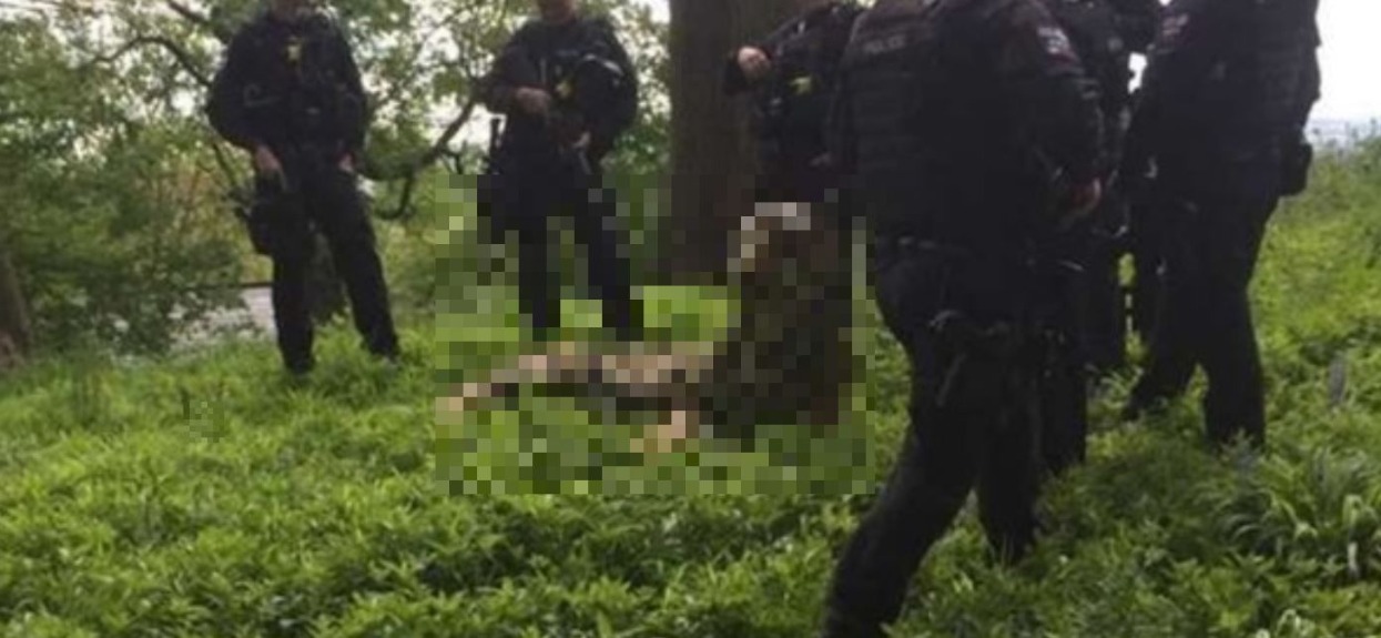 Ruszyli w pościg za niebezpiecznym zwierzęciem. Nie wiedzieli, jak wielki błąd popełnili