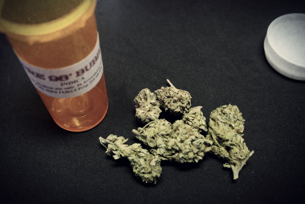 Miała być legalna lecznicza marihuana, a na razie jest... wstyd i PORAŻKA