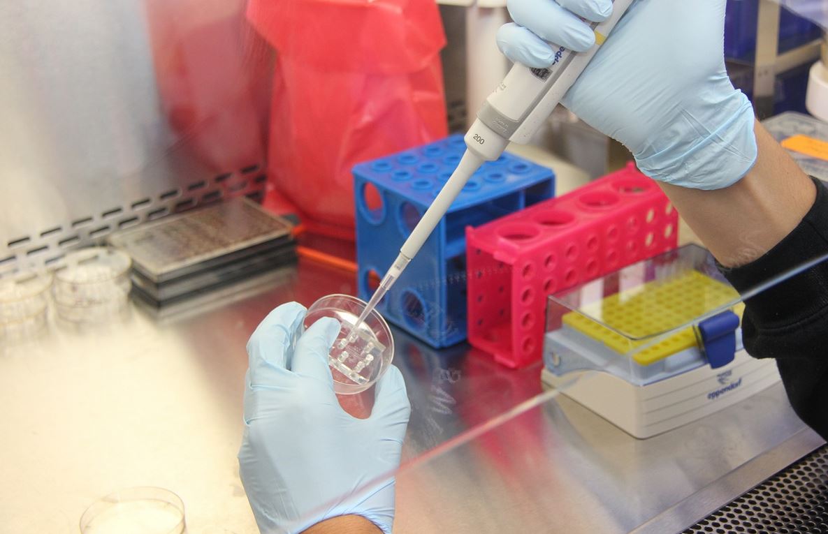 Przełom w walce z koronawirusem? Nowy typ szybkich testów, wyniki już w 15 minut