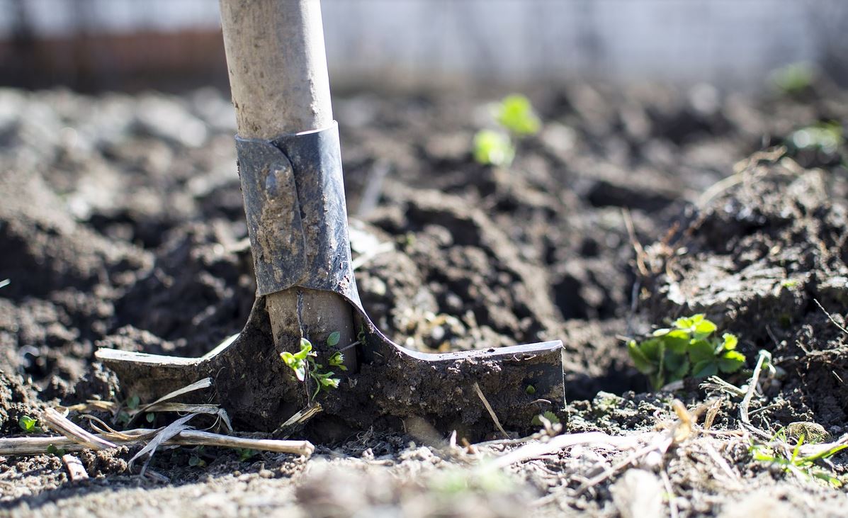 Przekopując swój ogródek mężczyzna nagle w coś uderzył. Gdy zrozumiał prawdę, zaniemówił, ogromne niebezpieczeństwo