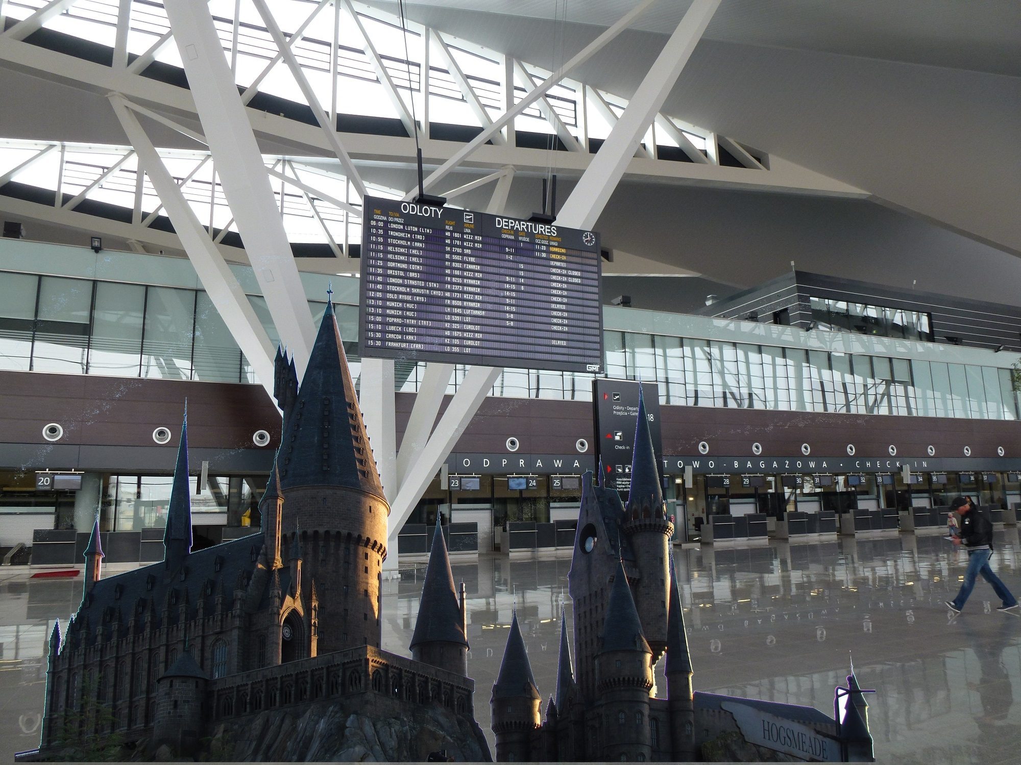 Polscy celnicy zaniemówili. Dorwać chce ich Harry Potter