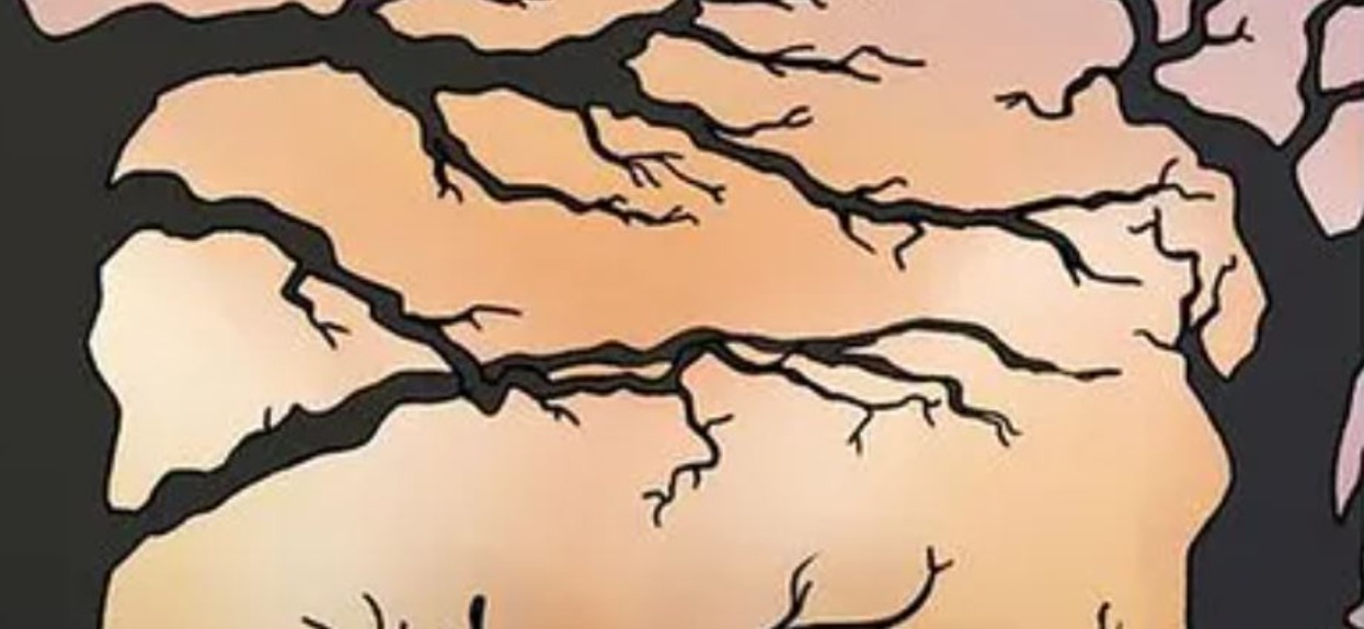 Co zobaczyłeś na obrazku, drzewa czy tygrysa? Odpowiedź zdradza prawdę o osobowości, skuteczność zadziwia psychologów