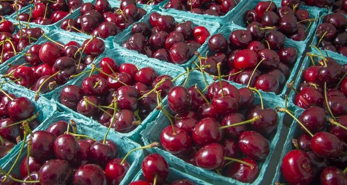 Czereśnie zawitały na bazarach, ale cena zwala z nóg. Droższe niż najlepsze mięso