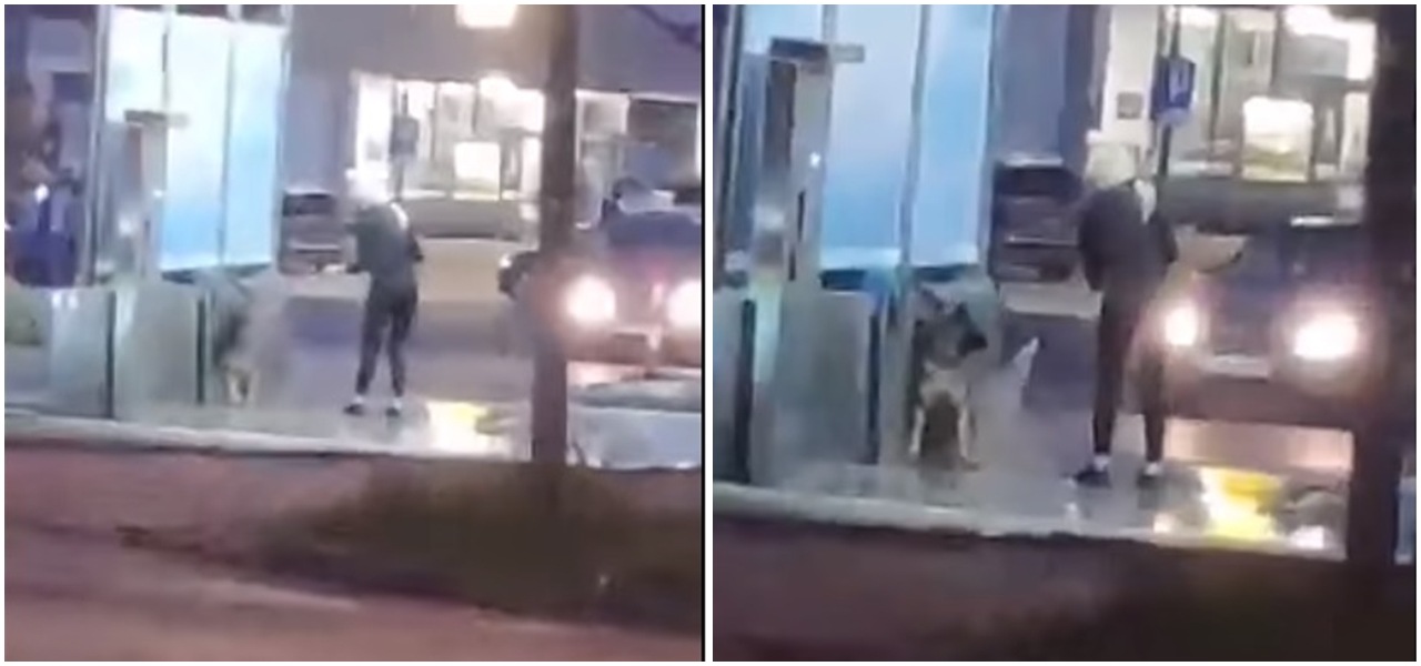 Skandaliczna sytuacja na myjni w polskim mieście. Kobieta zamiast samochodu myła psa, uciekła przed policją