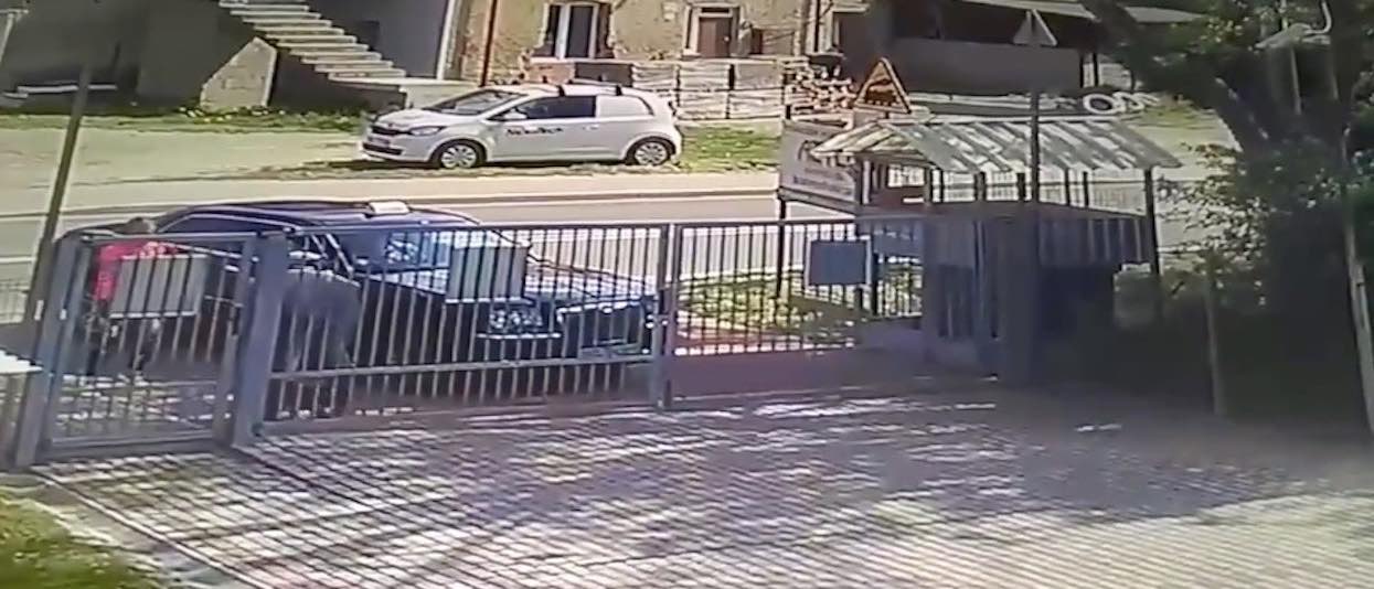 Pies miał demolować ich dom, nie mieli żadnych skrupułów, postanowili się go pozbyć. Szybko pożałowali, ale było już za późno