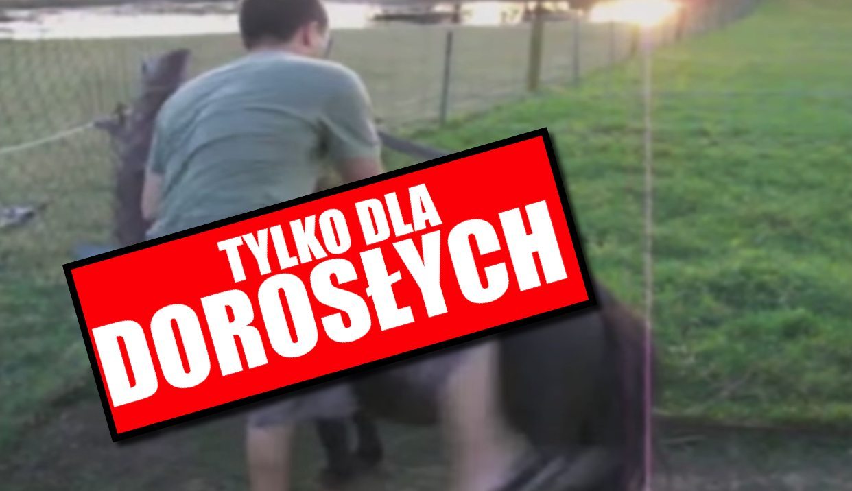 Setki dzieci w rozpaczy. Bestialsko zgwałcił kucyka na ich oczach