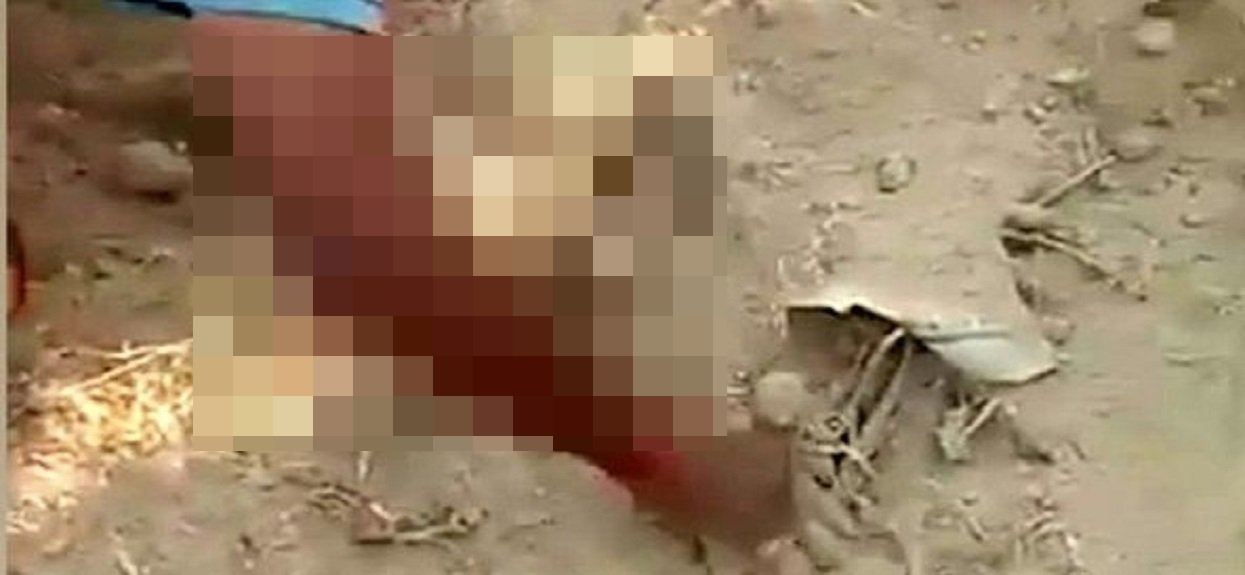 Wybrali się na plażę, nagle piasek zaczął się ruszać. Od razu zaczęli kopać, porażające odkrycie