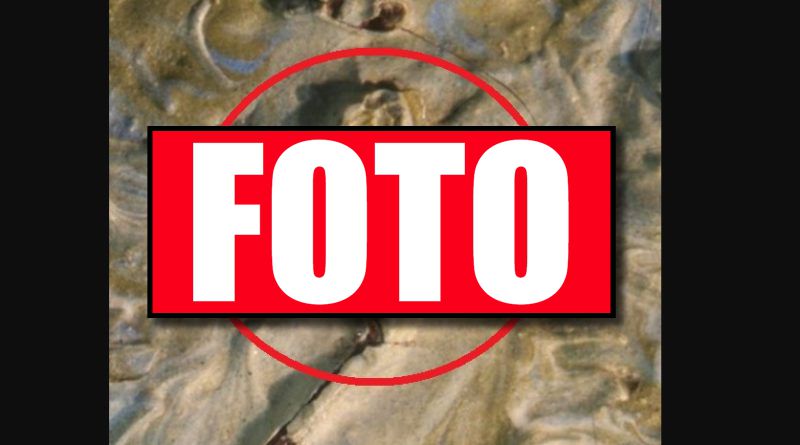 Niesamowite odkrycie w obrazie van Gogha! Szok po ponad 100 latach!