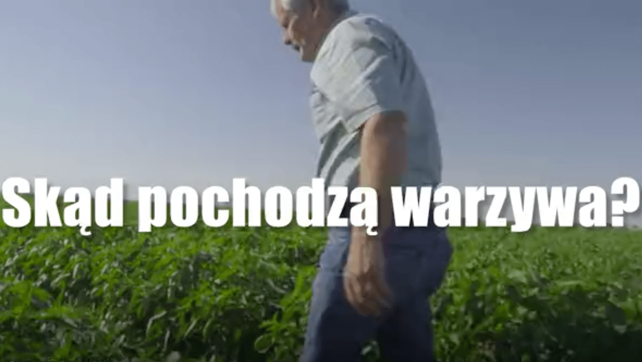 Każdy ma je w lodówce, nie każdy wie, skąd pochodzą. Oto historia... warzyw (video)