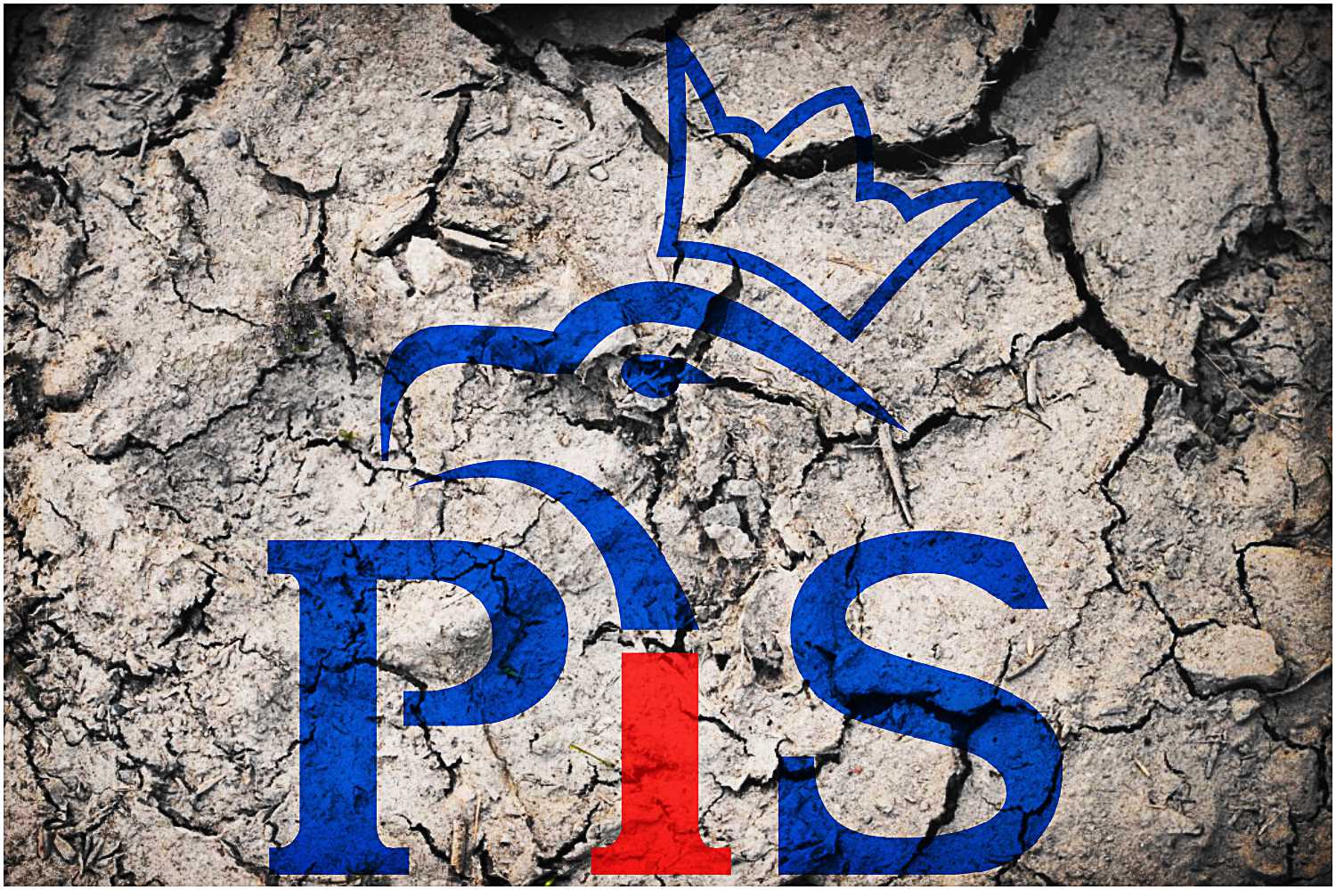 W PiS płoną ze wstydu. Kukiz ujawnia sensacyjne fakty! „Wbiło mnie w fotel”