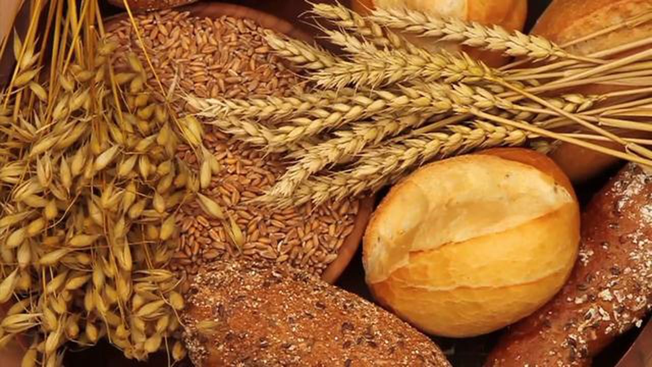 Szkodliwość glutenu to BZDURA. W rzeczywistości, chodzi o...