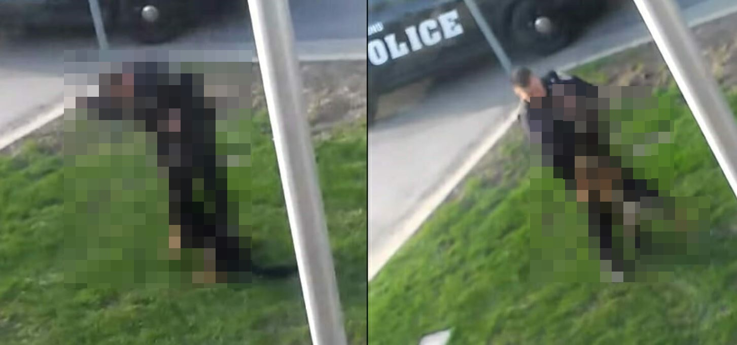 Do sieci wyciekło porażające nagranie policjanta z owczarkiem niemieckim. Nie mieści się w głowie, jak mógł mu zrobić podobne rzeczy?