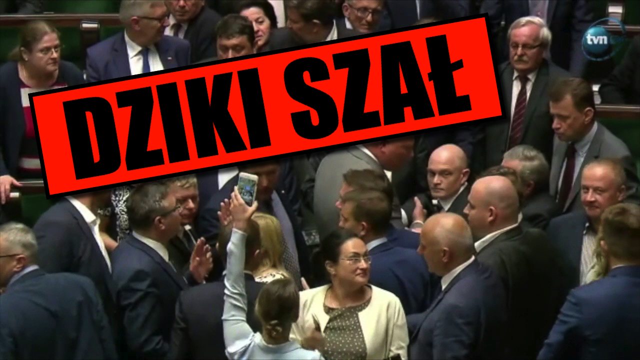 KOCIOŁ SZATANA w Sejmie! Ogarnął ich zbiorowy szał, sceny jak z Somalii