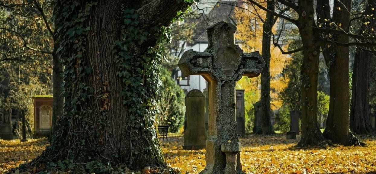 Zajrzeli do otwartego grobu i pobledli. Widok przeszedł ich najśmielsze oczekiwania