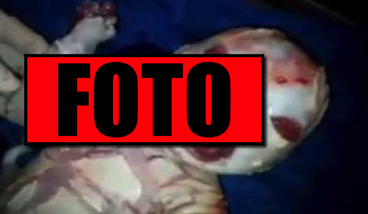 To się dzieje teraz! Mordują zmutowane dzieci. "Wyglądają jak potwory"